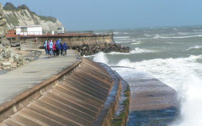 3D Printing Vs Living Seawall