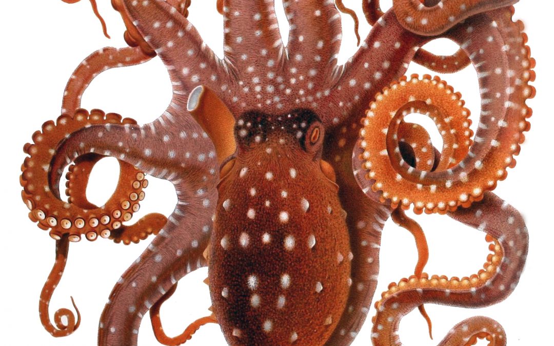 The 3D Printed Light-Responsive Material That Replicates Octopus Camouflage