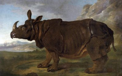 3D Printed Rhinoceros Replica
