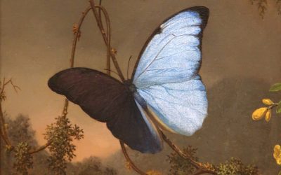 3D Printing Vs Structural Colours Inspired By Butterfly Wings